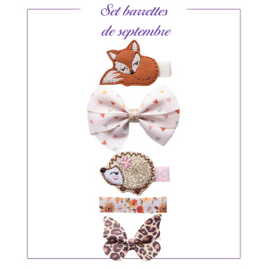 Barrettes anti glisse set d’automne